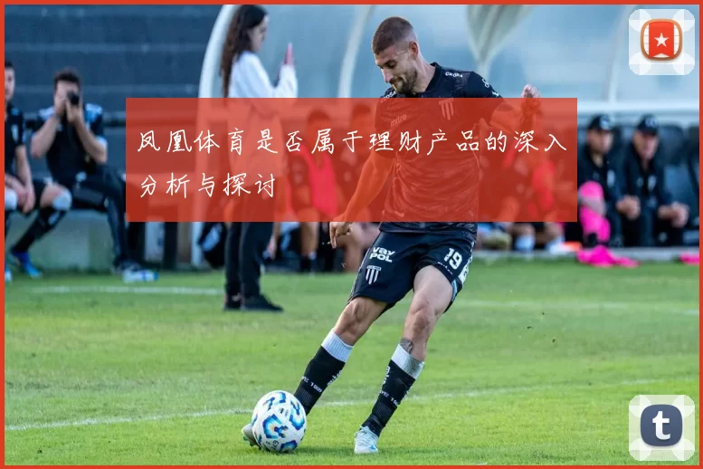 凤凰体育是否属于理财产品的深入分析与探讨