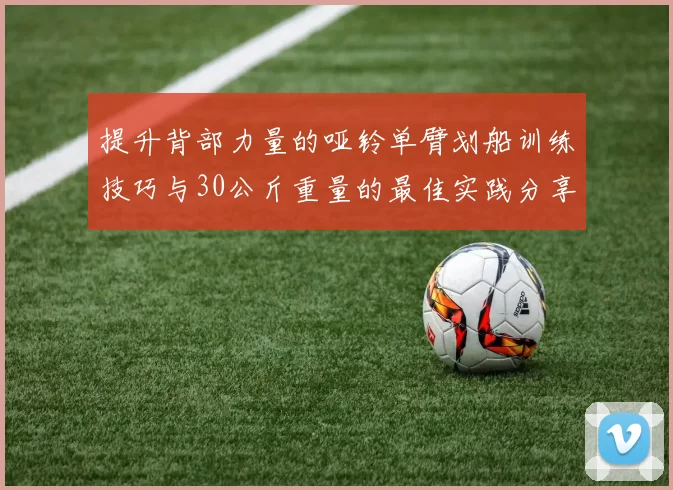 提升背部力量的哑铃单臂划船训练技巧与30公斤重量的最佳实践分享
