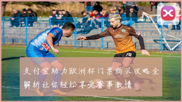 支付宝助力欧洲杯门票购买攻略全解析让你轻松享受赛事激情