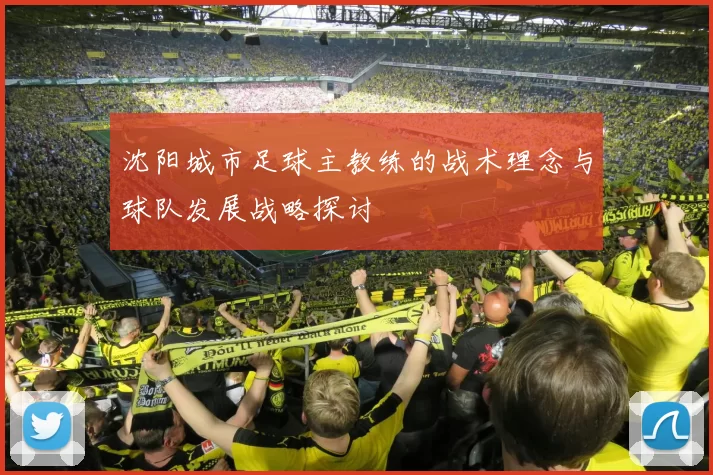 沈阳城市足球主教练的战术理念与球队发展战略探讨